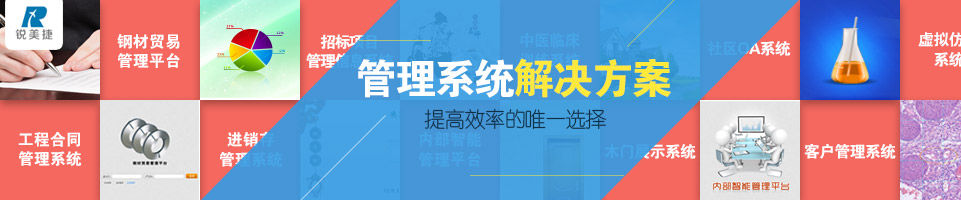 南京銳美捷信息技術有限公司